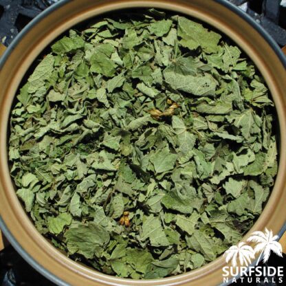 Bowl of Calea Zacatechichi Leaf (Mexican Dream Herb)